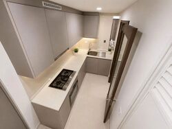 The Visionaire (D27), Condominium #615131821